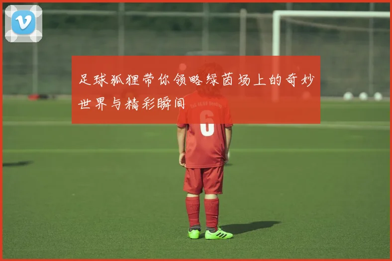 足球狐狸带你领略绿茵场上的奇妙世界与精彩瞬间