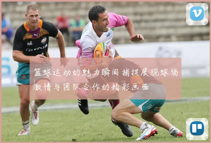 篮球运动的魅力瞬间捕捉展现球场激情与团队合作的精彩画面